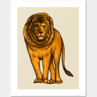 Lion Posters and Art